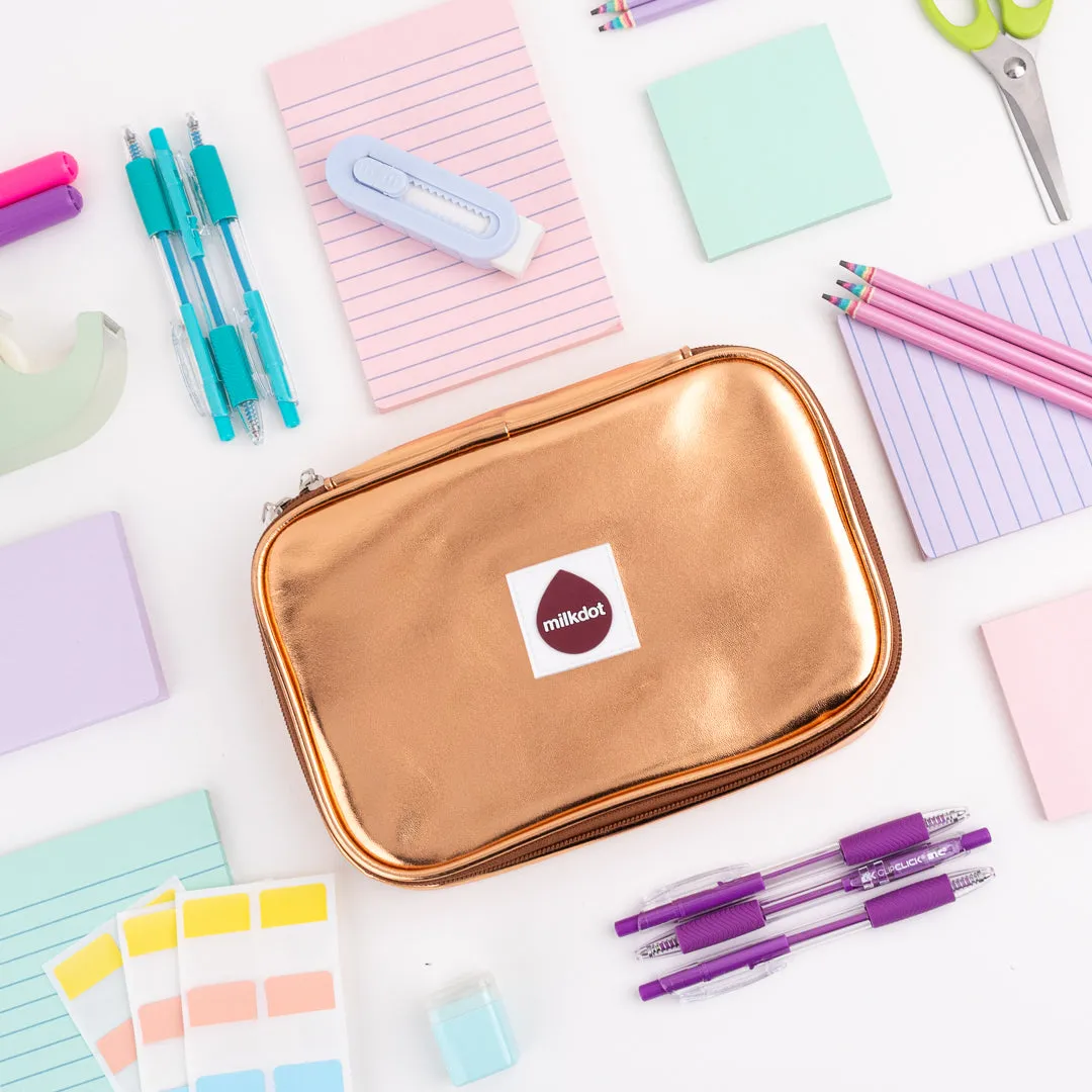 Pencil Case | Gold Metallic